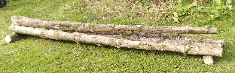 Four 10 ft. sticks of holly