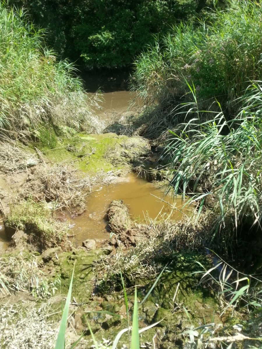 breach 23rd July 2017