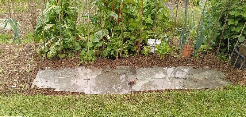 Plot 2