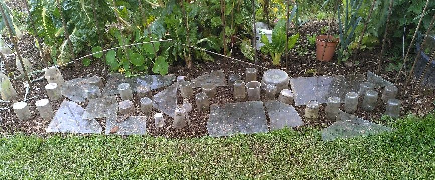 Plot 2
