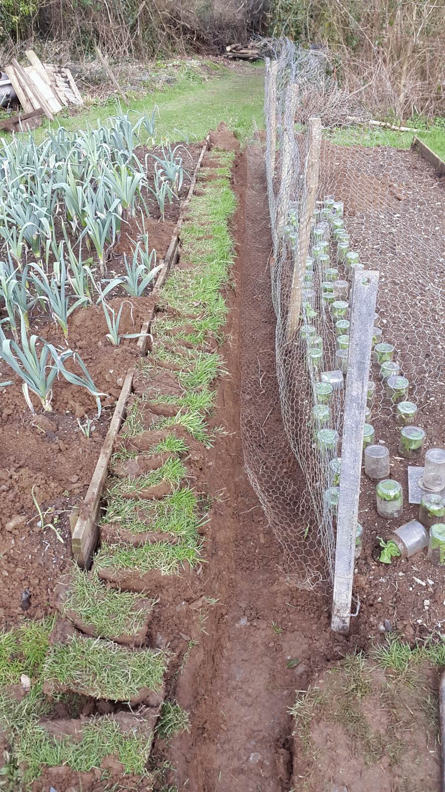 erecting wire fencing