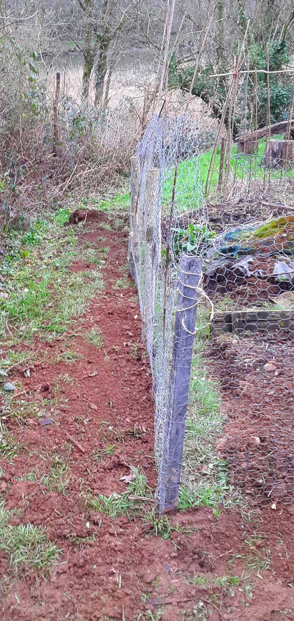 second side of  wire fencing