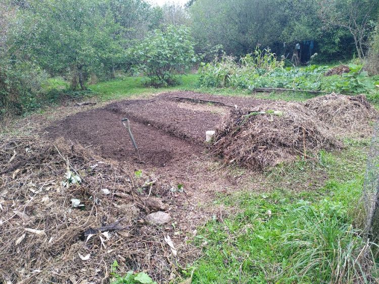 For Oct 2026 sowing