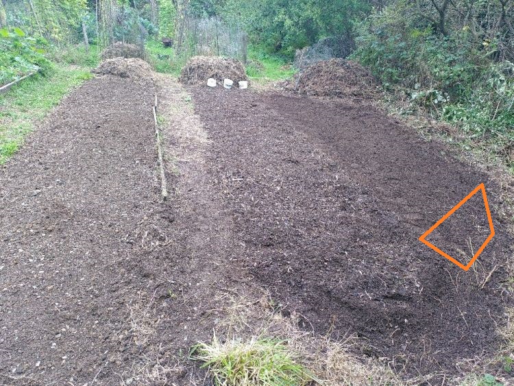 For Oct 2026 sowing
