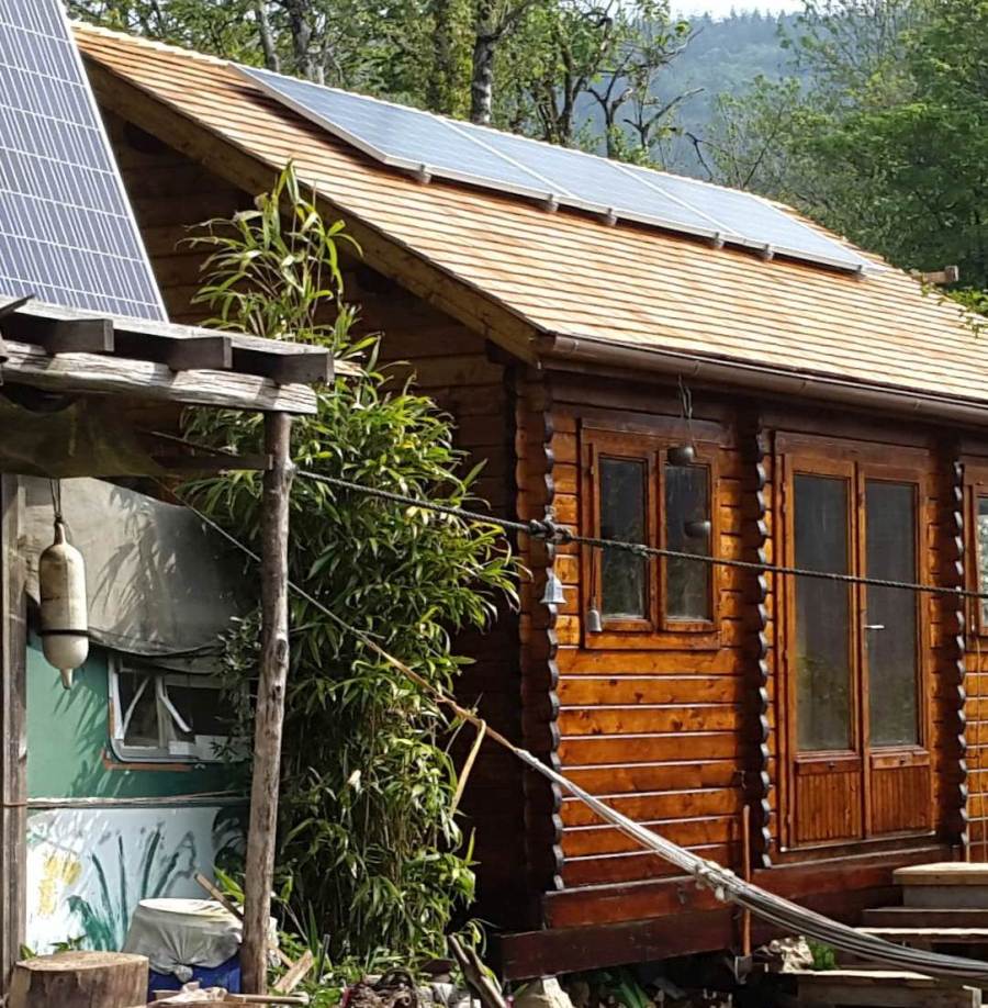 bamboo bewteen caravan and workshop