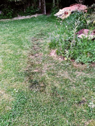 Dark line of spilt petrol