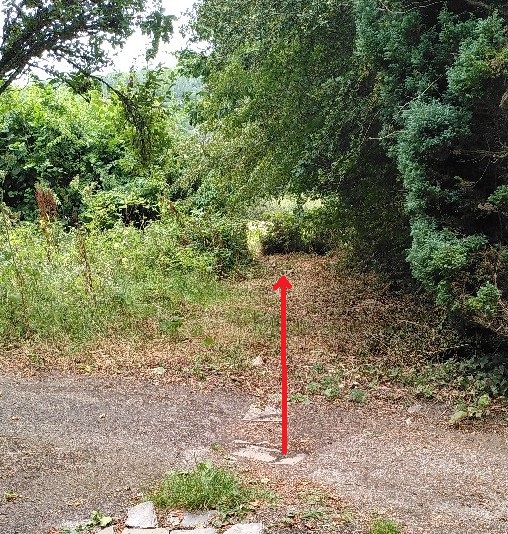 One metre from the fence.