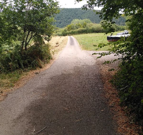 Looking east from the bridge