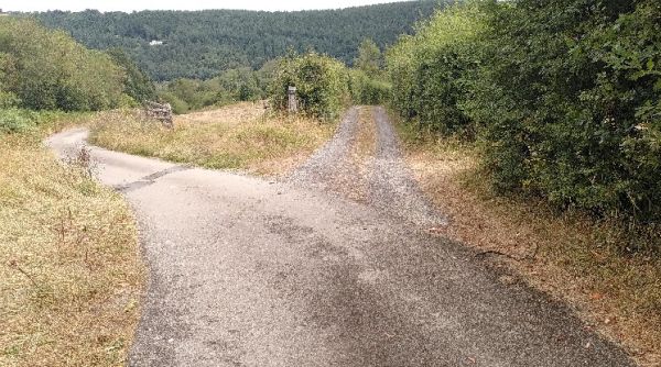 Where the track parts, go straight ahead along the rough track.